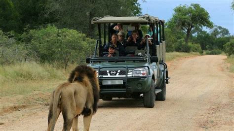 Budget Kruger Park Safari - View Packages and Prices