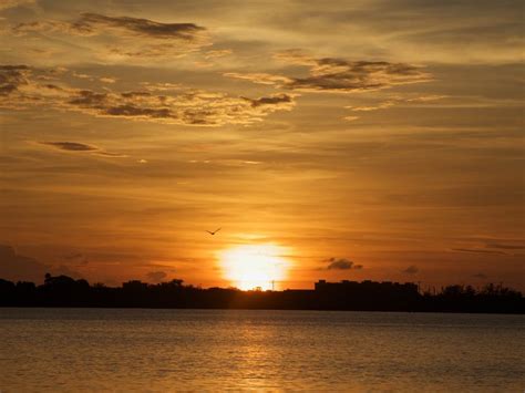 Sarasota Sunset | Smithsonian Photo Contest | Smithsonian Magazine