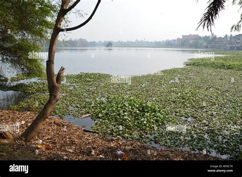 Santragachi lake hi-res stock photography and images - Alamy