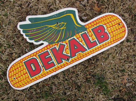 Dekalb Corn