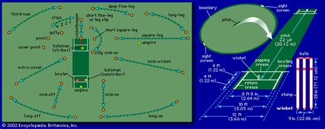 cricket - Kids | Britannica Kids | Homework Help