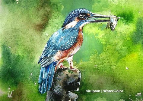 "Watercolor painting - kingfisher" by Nirupam Das | Redbubble