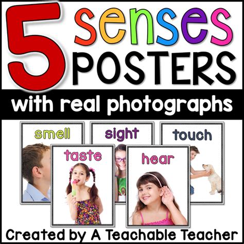 5 Senses Posters with Real Photographs – A Teachable Teacher