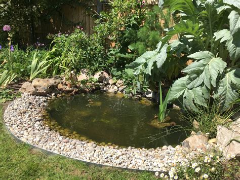 How To Build A Wildlife Pond :: Part 2 – the small gardener