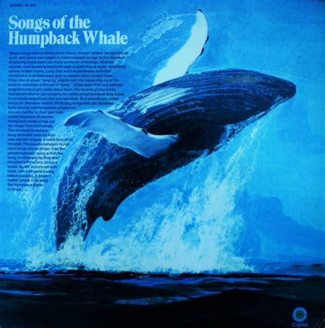 The Song of the Humpback Whale - A Song From the Silver Bank