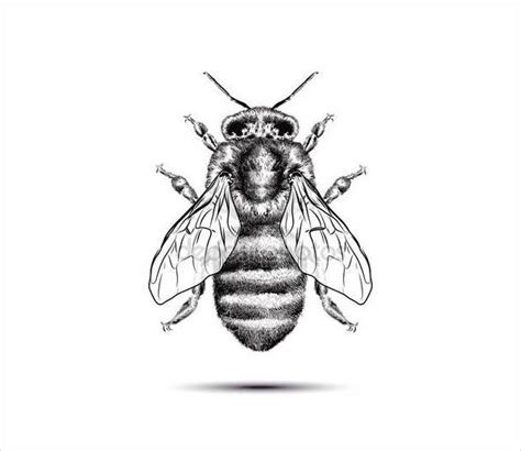 FREE 9+ Bee Drawings in AI | Vector EPS