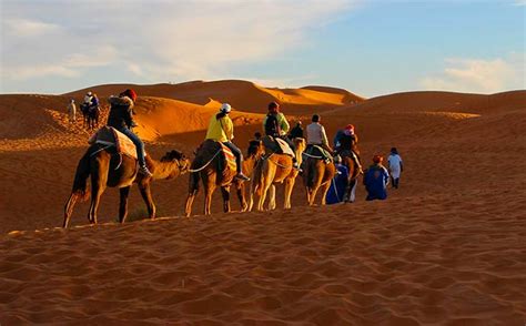 Desert Festival in Jaisalmer 2020 | Festival in Jaisalmer | Jaisalmer ...