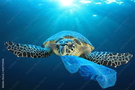 Plastic pollution in ocean environmental problem. Turtles can eat ...