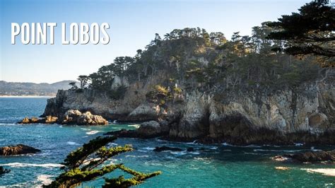 Point Lobos State Natural Reserve: Exploring 4 of the Park's Best Trails - YouTube