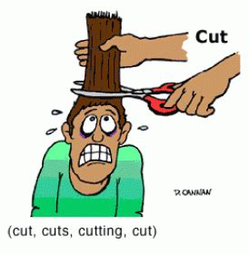 cut out - definition of cut out idiom