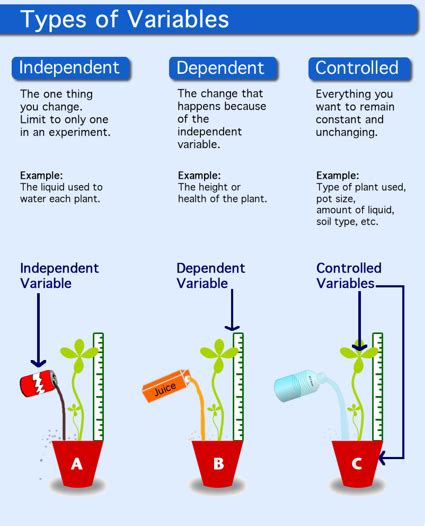 What is an independent variable? + Example