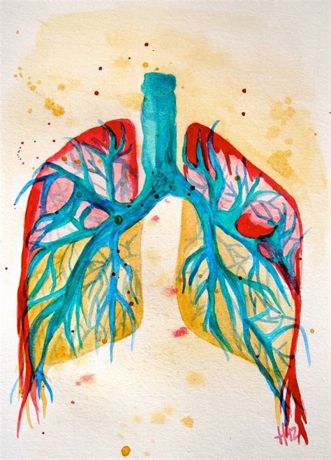 Lungs anatomy colorful, original watercolor painting 5x7 | Anatomy art ...