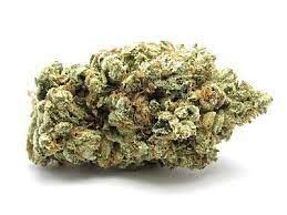 Jack Frost Strain | Everything You Need to Know