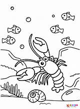Lobster Coloring Pages Printable For Free Download sketch template