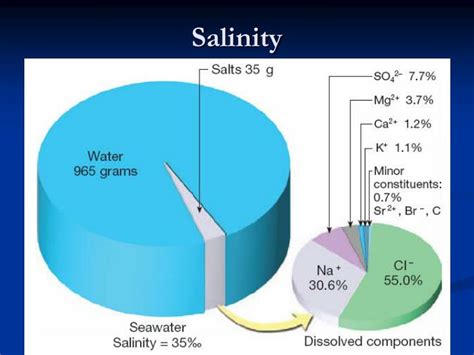 PPT - The Composition of Seawater PowerPoint Presentation - ID:6604397