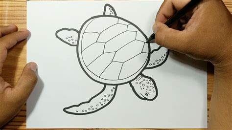 SEA TURTLE EASY DRAWING - YouTube