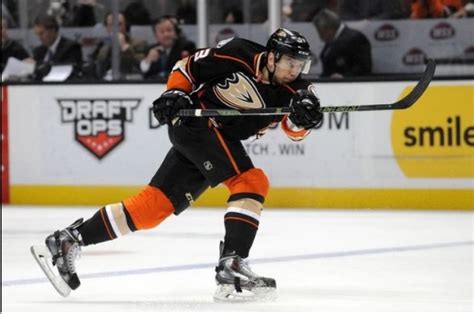 Shea Theodore To Start Year With Gulls - CaliSports News