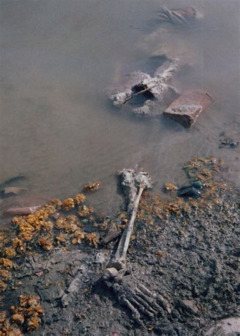 50+ Scary Images Depicting Filth of Varanasi & River Ganges