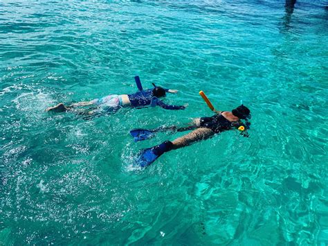 Snorkeling 101: Tips and Tricks for First-Timers in Islamorada - Islamorada Island Adventures ...