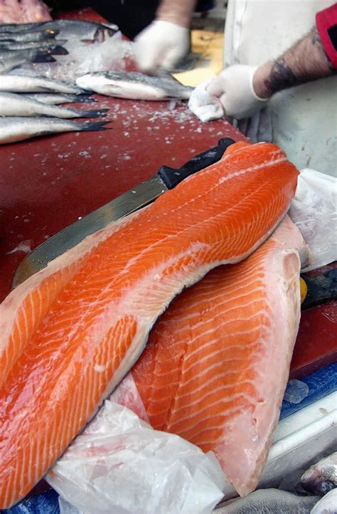 Production of Scottish farmed salmon at highest level in a decade