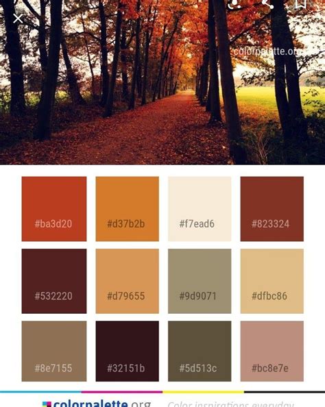 Rustic Color Palettes, Color Schemes Colour Palettes, Fall Color ...