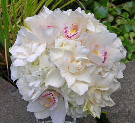 Gardenia Wedding Bouquets, Gardenia Bouquet, Orchid Bridal Bouquets, White Wedding Bouquets ...