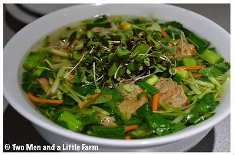 Two Men and a Little Farm: QUICK AND EASY PHO RECIPE