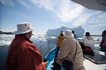 Icebergs & Whales - Twillingate Tourism, Newfoundland, Canada