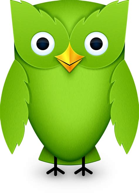 Image - Duolingo-owl.png | Duolingo Wiki | FANDOM powered by Wikia