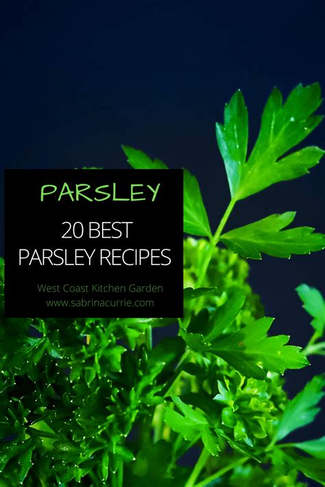 20 Best Parsley Recipes - West Coast Kitchen Garden