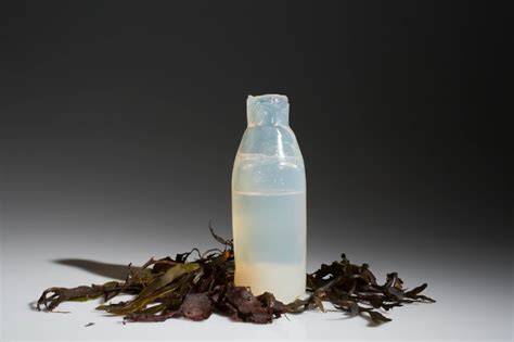 Algae-based water bottle decomposes when empty | Design Indaba