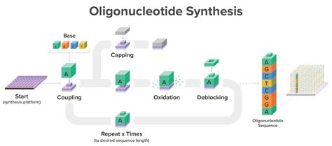 Process synthesis