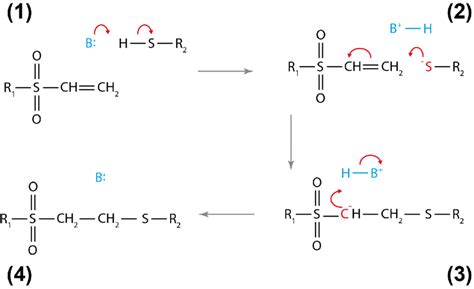 Thiol-Michael addition reaction involving a vinyl-sulfone group. (1 ...