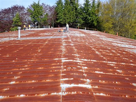 Rusty Metal Roof Coating | Metal Roof Rust Inhibitor