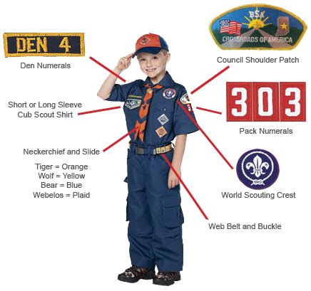 Cub Scout Uniform PNG Transparent Cub Scout Uniform.PNG Images. | PlusPNG