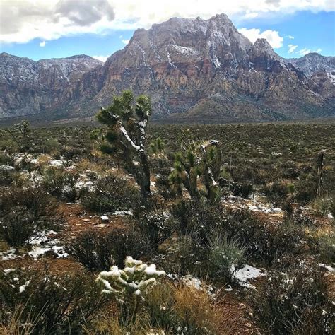 Snow in Las Vegas on February 23, 2018 in pictures - Strange Sounds