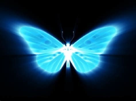 Neon Butterfly Wallpaper - WallpaperSafari