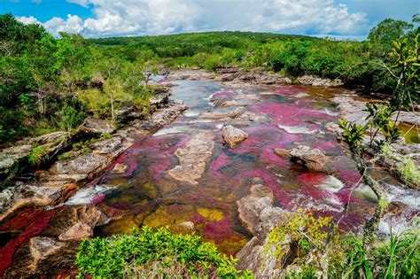 A Guide to Caño Cristales - Colombia | The Endless Adventures