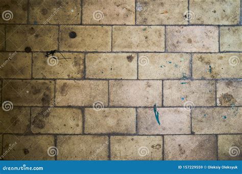 Old Floor Tiles