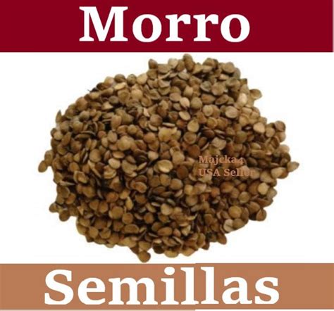 Morro SEMILLAS 7 Oz Bebidas Horchata Morro Semillas - Etsy