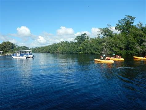 Paddling Flamingo, Florida Everglades. E-Z Map, Photos, Rentals ...