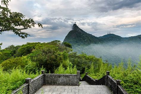 Tijuca Forest and Botanical Garden Expedition - Welcome to Rio De Janeiro, Home of the Christ ...