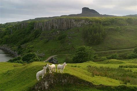 The People's Island: Eigg marks 25 years since community buyout - BBC News