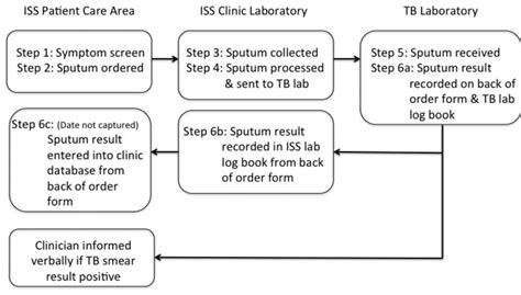 Process flow for TB diagnostic cascade of first sputum sample 1 at ISS... | Download Scientific ...