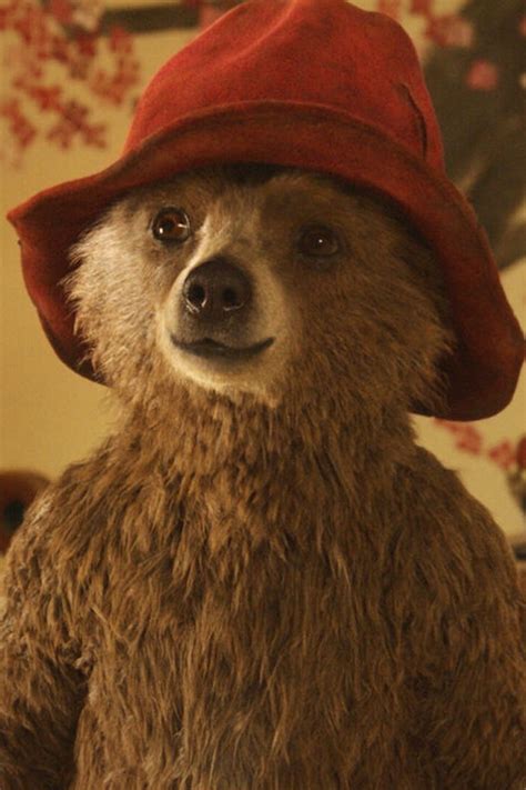 Paddington: Teaser Trailer 1 - Trailers & Videos - Rotten Tomatoes