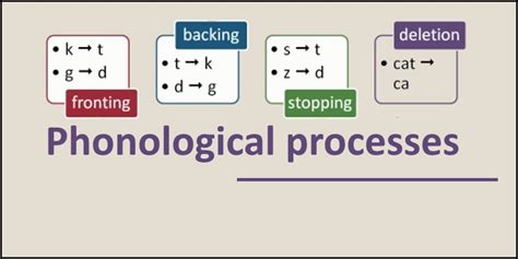 Phonological Processes