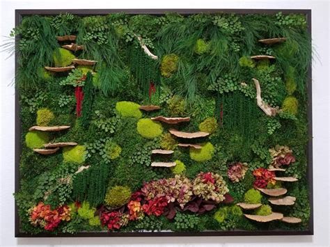 Framed real moss wall art, custom, 51"x40" | Moss wall art, Moss wall, Custom wall art