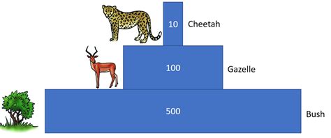 Pyramid of Numbers - Key Stage Wiki