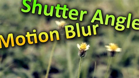 Shutter Angle & Motion Blur - YouTube