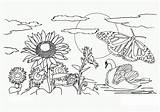 Free Printable Nature Coloring Pages sketch template